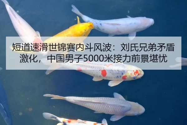 短道速滑世锦赛内斗风波：刘氏兄弟矛盾激化，中国男子5000米接力前景堪忧