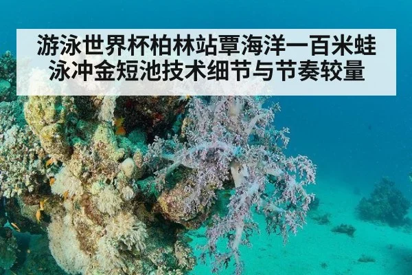 游泳世界杯柏林站覃海洋一百米蛙泳冲金短池技术细节与节奏较量